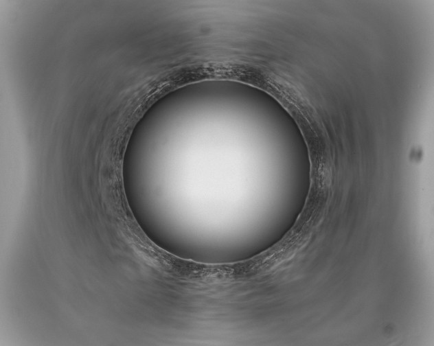 X0000094180865200710261129