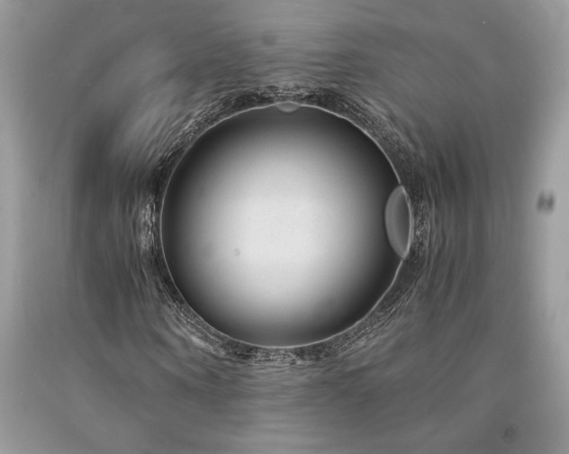 X0000094180866200710261129