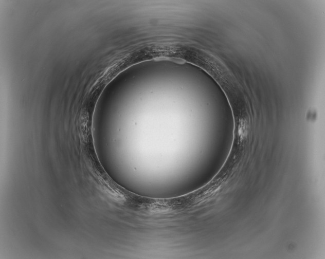 X0000094180867200710261129