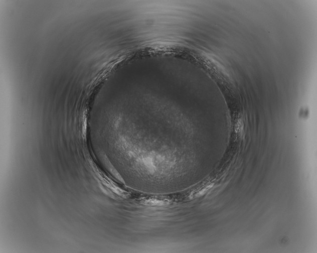 X0000094180868200710261129