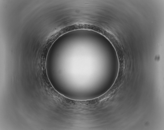 X0000094180870200710261129