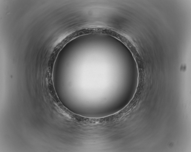 X0000094180871200710261129
