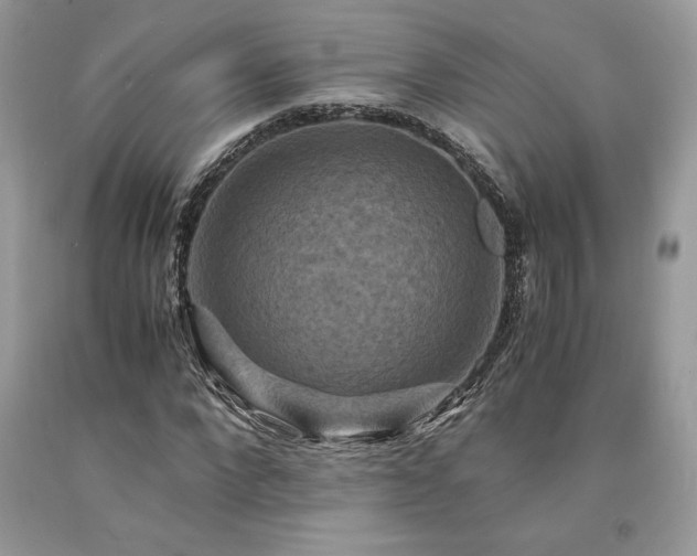 X0000094180872200710261129