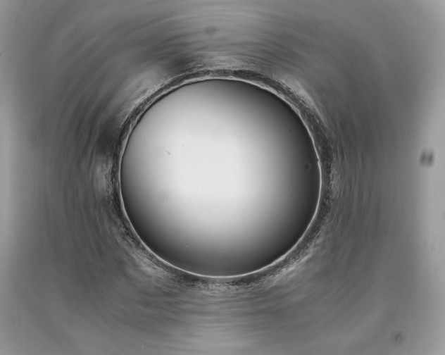 X0000094180873200710261129