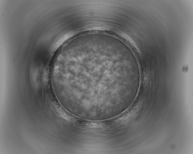 X0000094180874200710261129