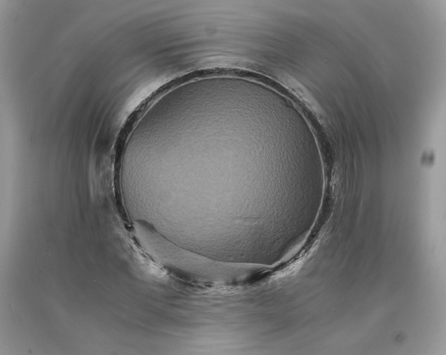 X0000094180877200710261129