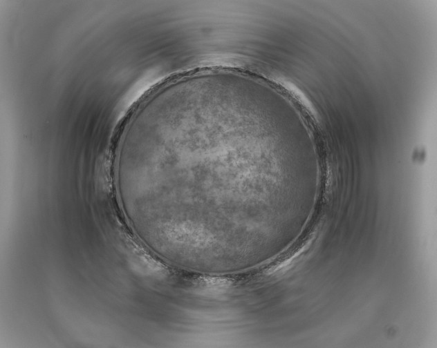 X0000094180878200710261129