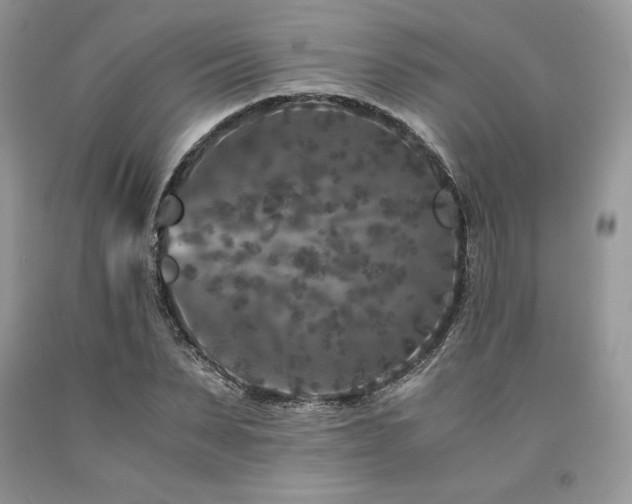X0000094180879200710261129