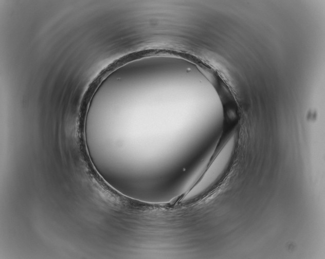 X0000094180880200710261129
