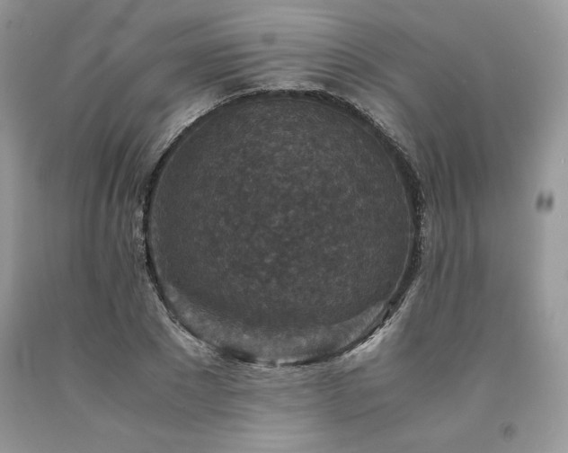 X0000094180881200710261129
