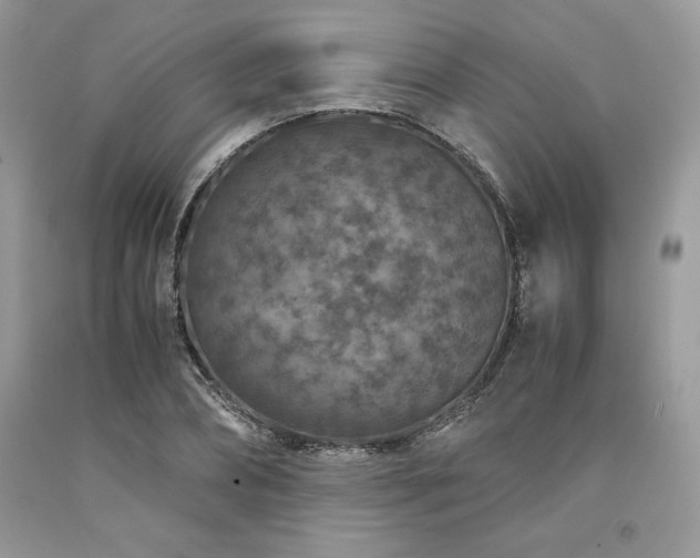 X0000094180882200710261129