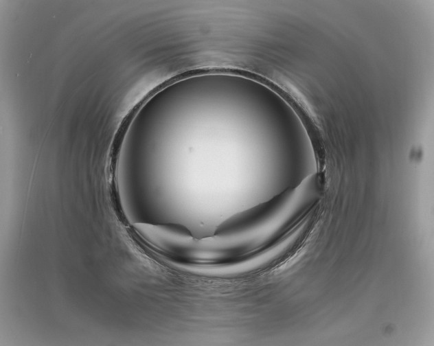 X0000094180885200710261129