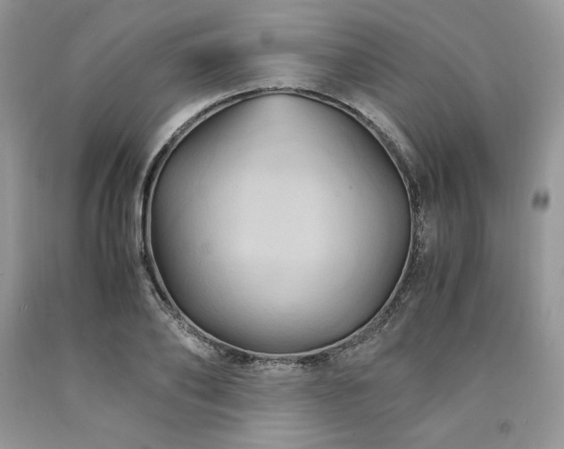 X0000094180886200710261129
