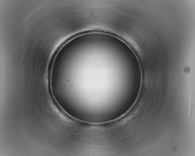 X0000094180888200710261129