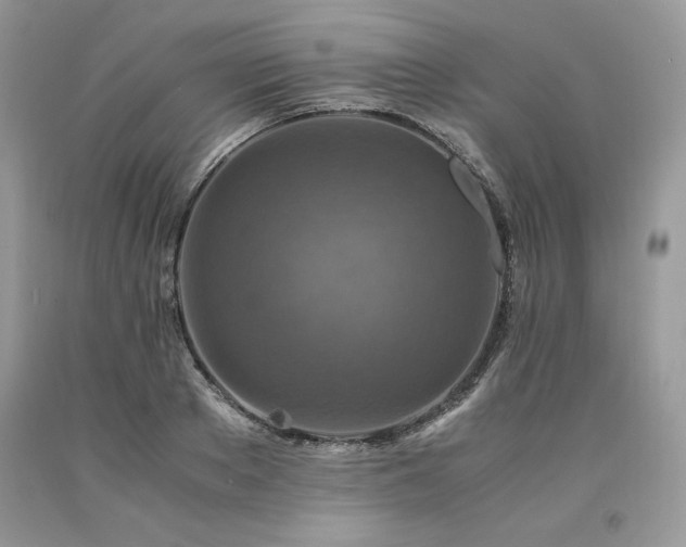 X0000094180889200710261129