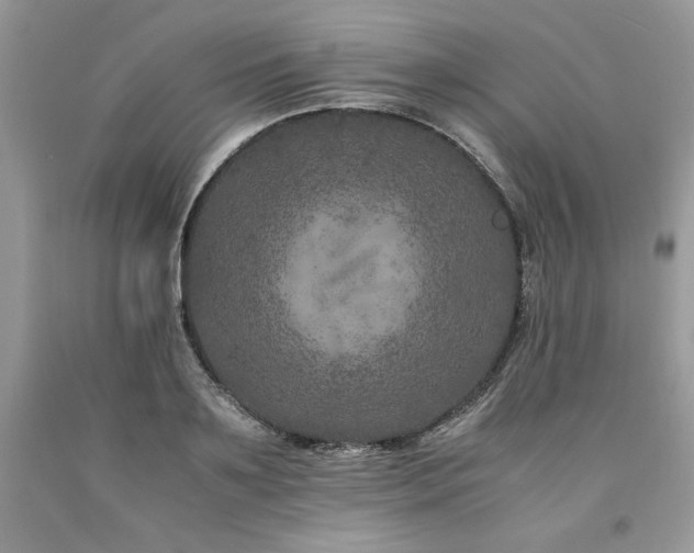 X0000094180891200710261129
