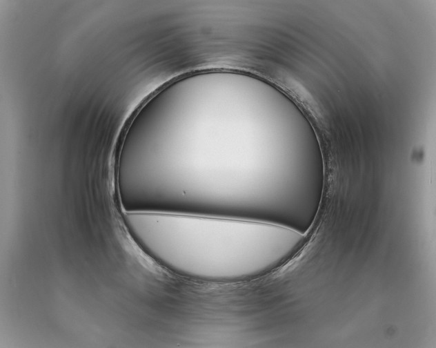 X0000094180892200710261129