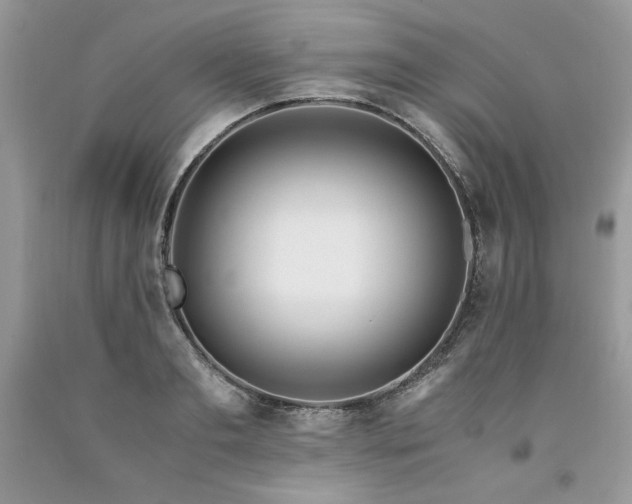 X0000094180893200710261129