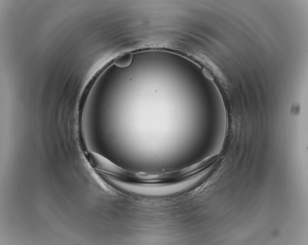 X0000094180894200710261129