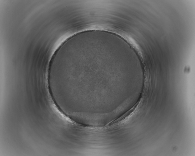 X0000094180896200710261129