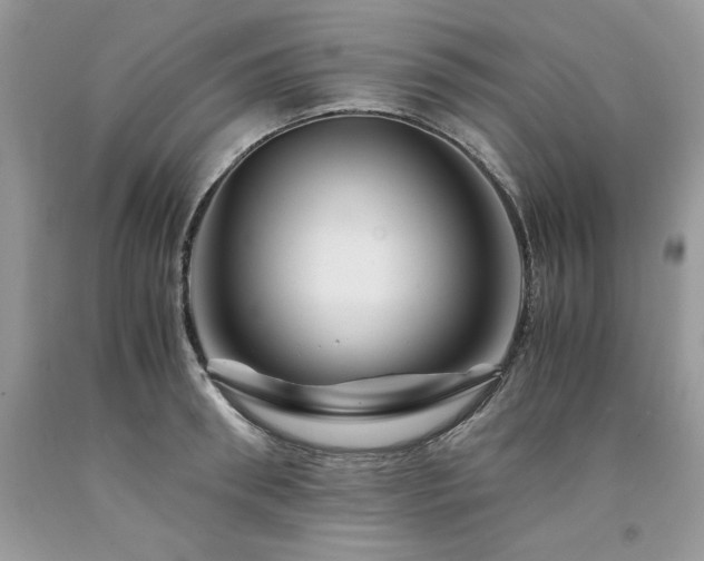 X0000094180898200710261129