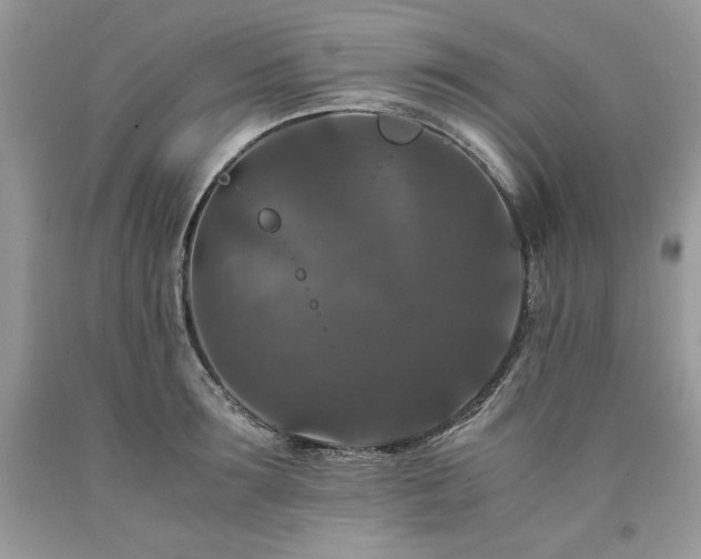 X0000094180899200710261129