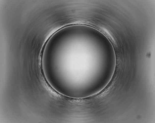 X0000094180900200710261129