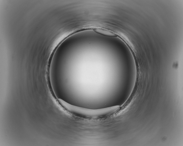 X0000094180901200710261129