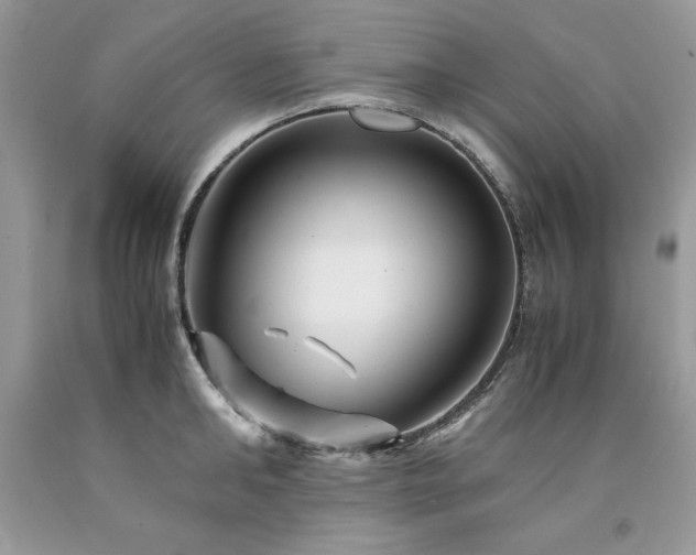 X0000094180902200710261129