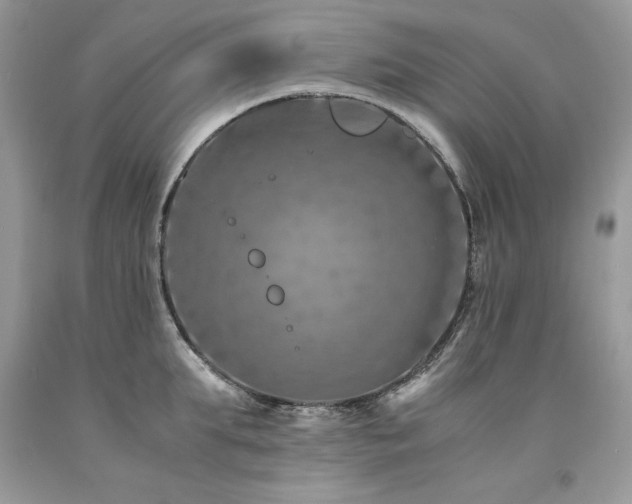 X0000094180903200710261129