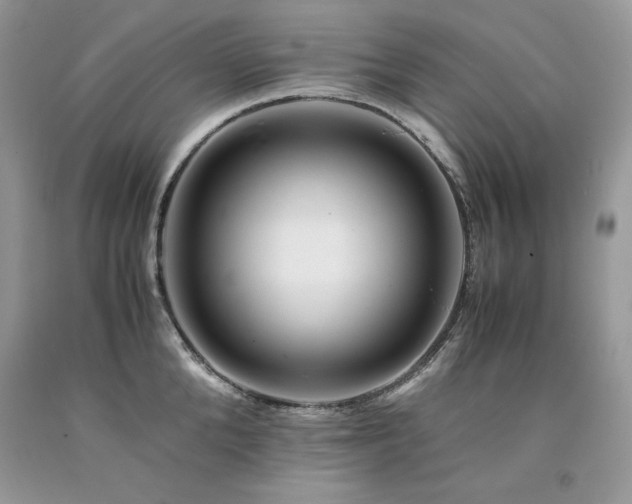 X0000094180904200710261129