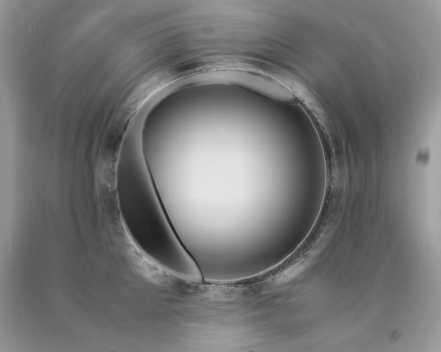 X0000094180905200710261129