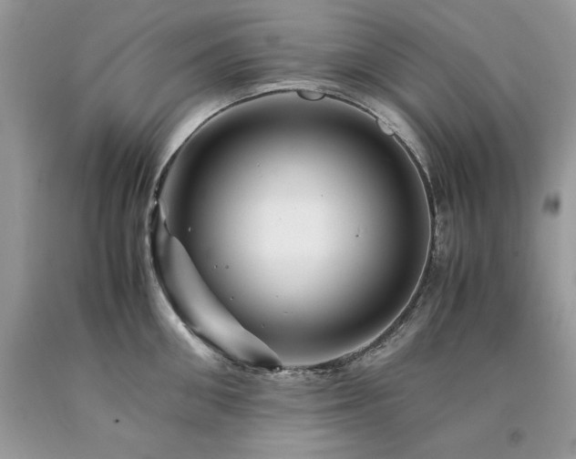 X0000094180906200710261129
