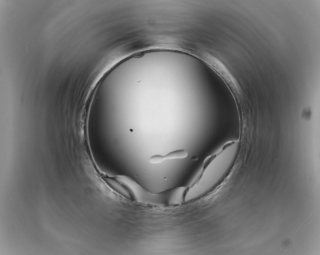 X0000094180908200710261129