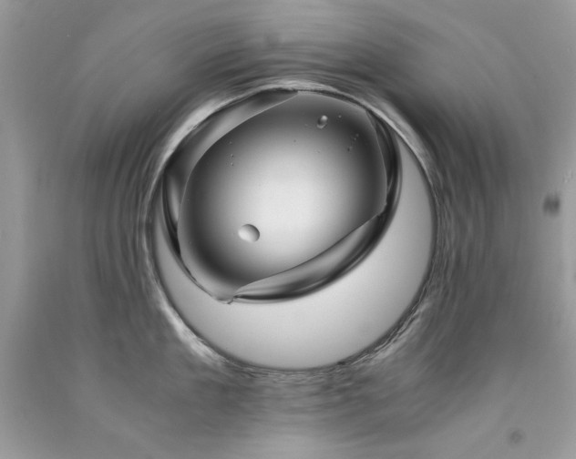 X0000094180909200710261129