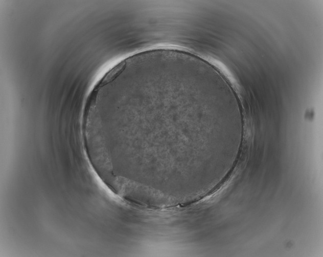 X0000094180910200710261129