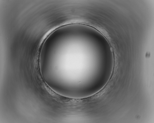 X0000094180912200710261129