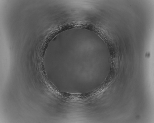 X0000094180913200710261128