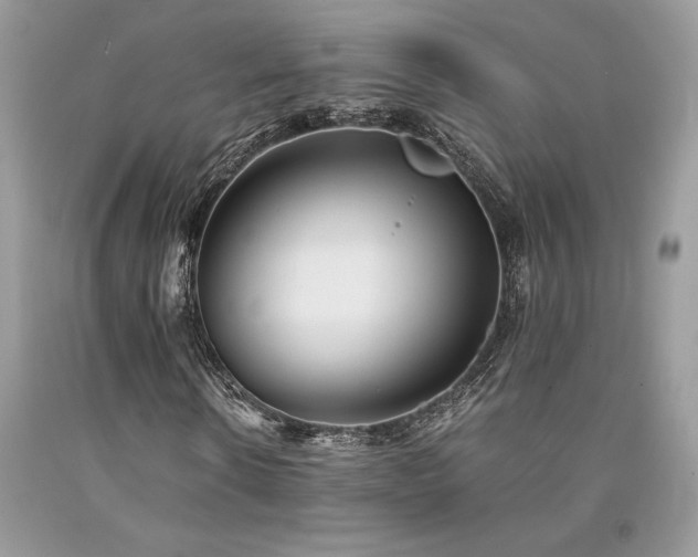 X0000094180914200710261128