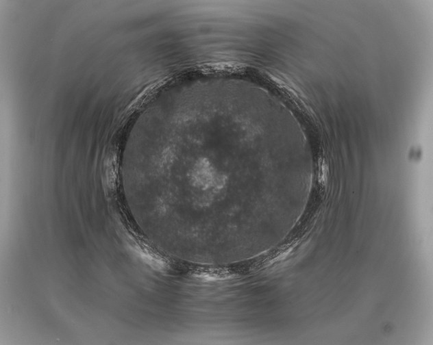 X0000094180915200710261128