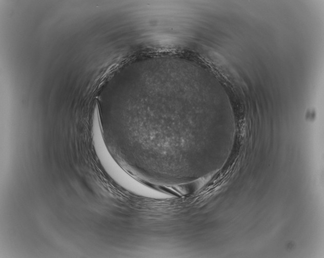 X0000094180916200710261128