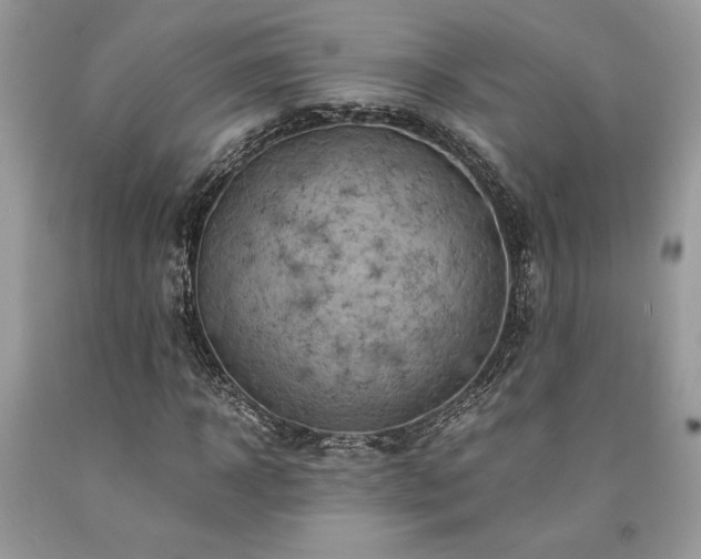 X0000094180918200710261128