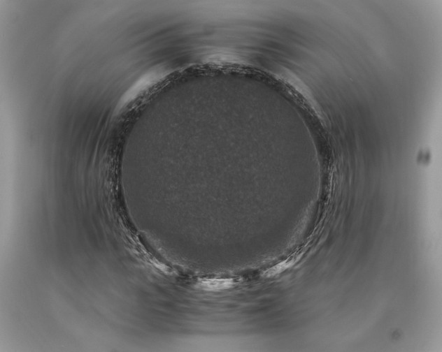 X0000094180919200710261128