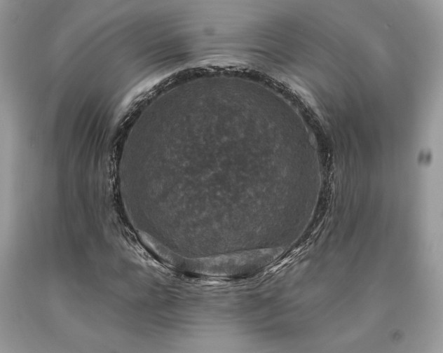 X0000094180920200710261128