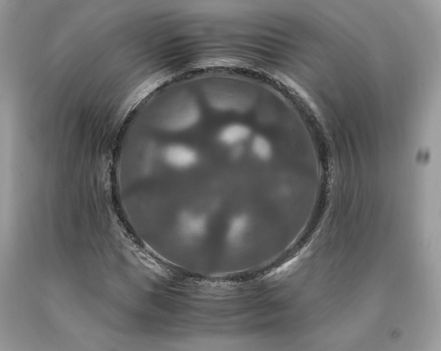 X0000094180921200710261128