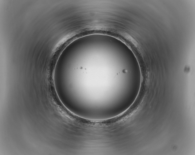 X0000094180922200710261128