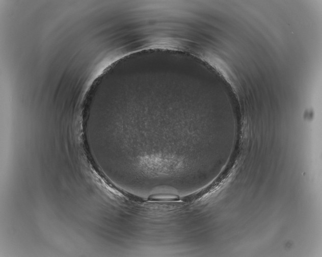 X0000094180923200710261128