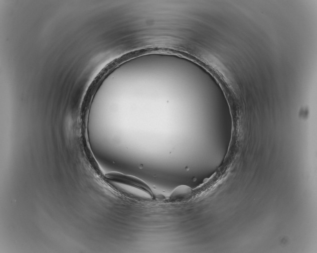 X0000094180924200710261128