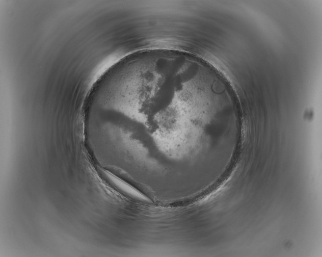 X0000094180925200710261128