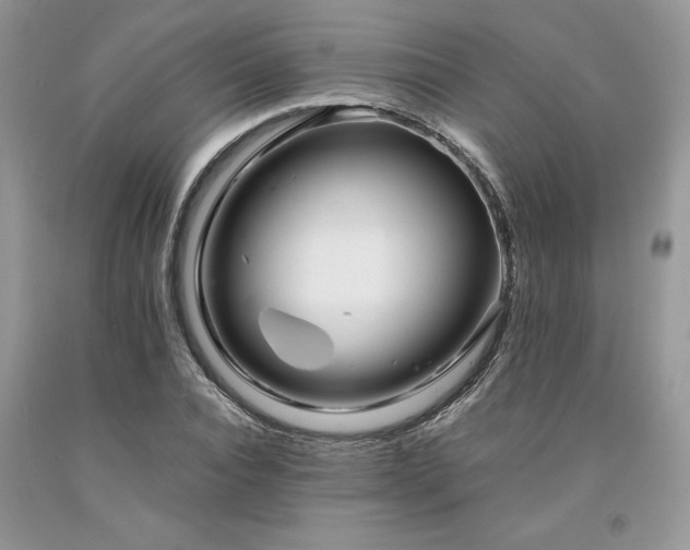X0000094180928200710261128